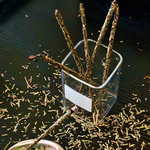 Cedar Incense Sticks