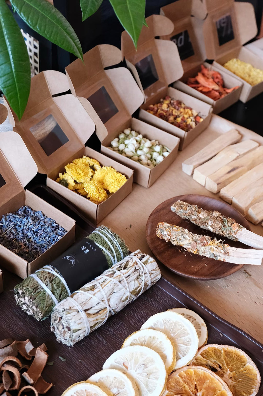 🌿Herbal Energy Workshop🌿