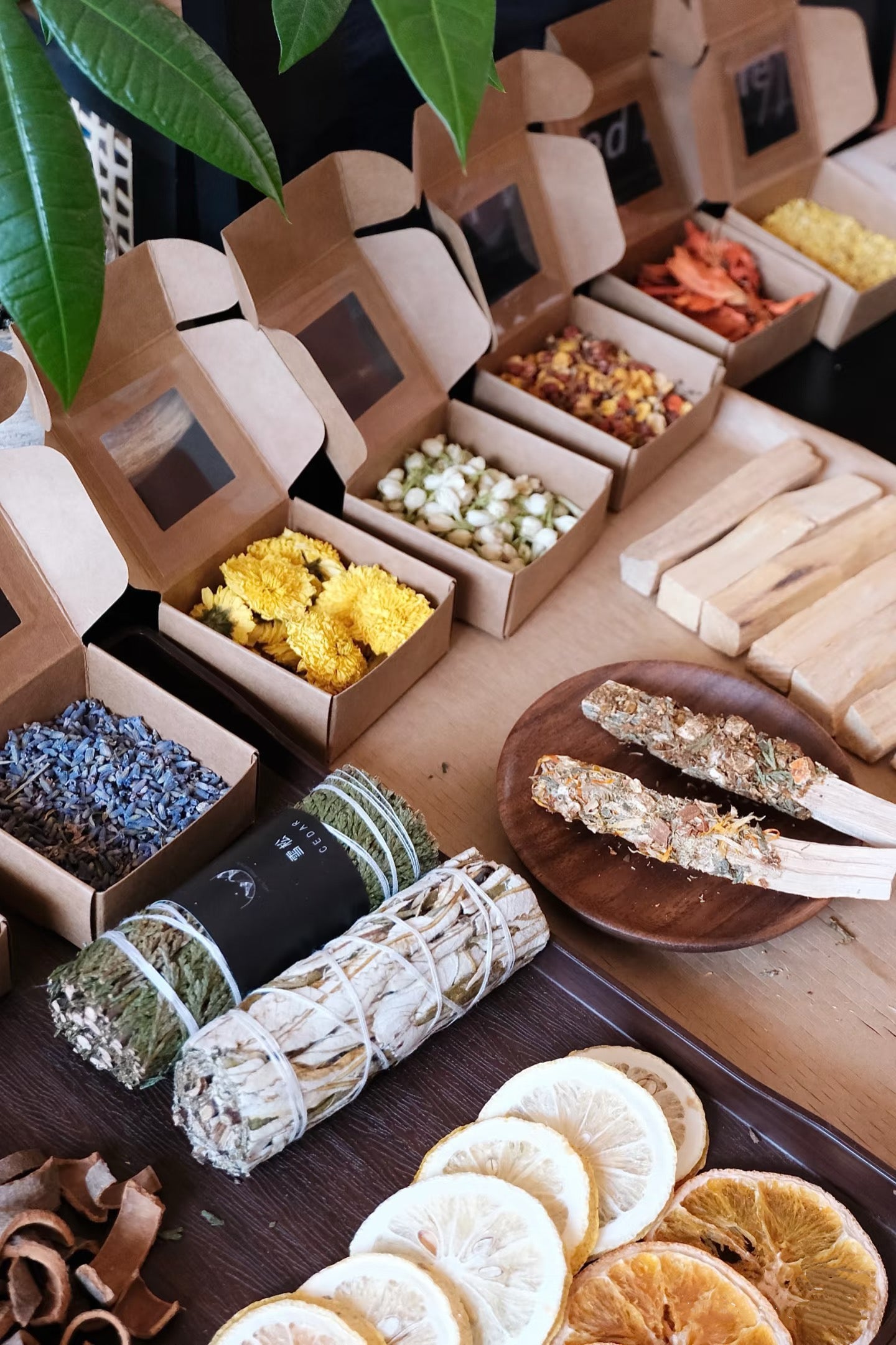 🌿Herbal Energy Workshop🌿