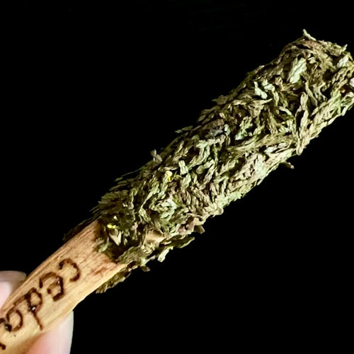Cedar Palo Santo Lollipop