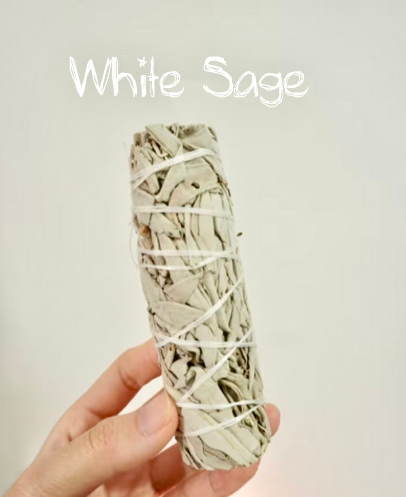 White Sage – The Ultimate Purifier