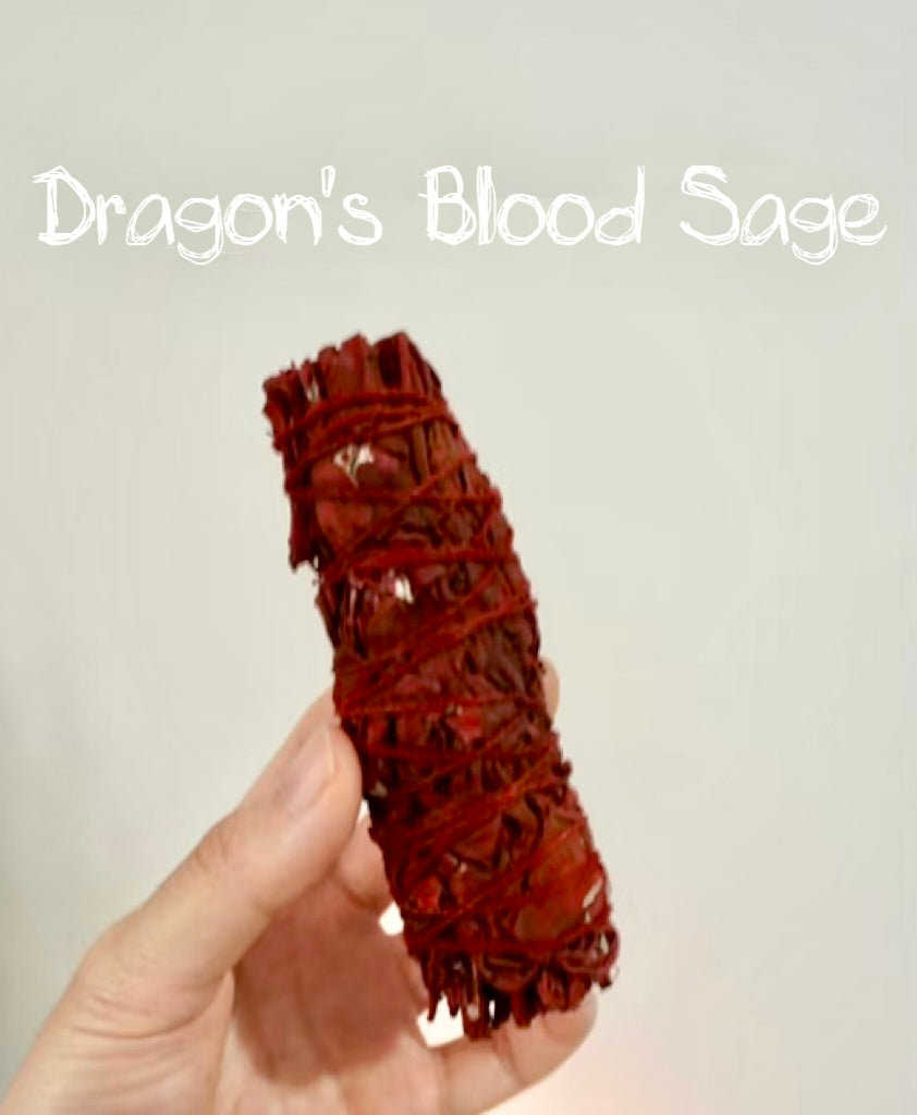 Dragon’s Blood Sage – Deep Protection & Energetic Shielding