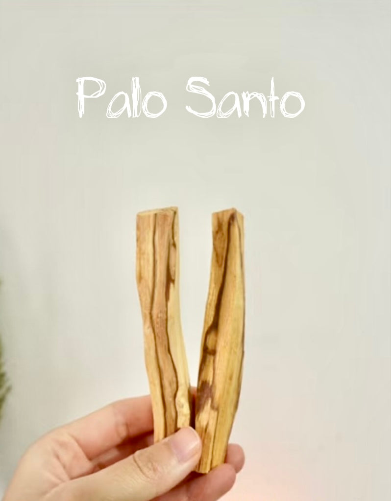 Palo Santo – Sacred Wood for Peace & Insight