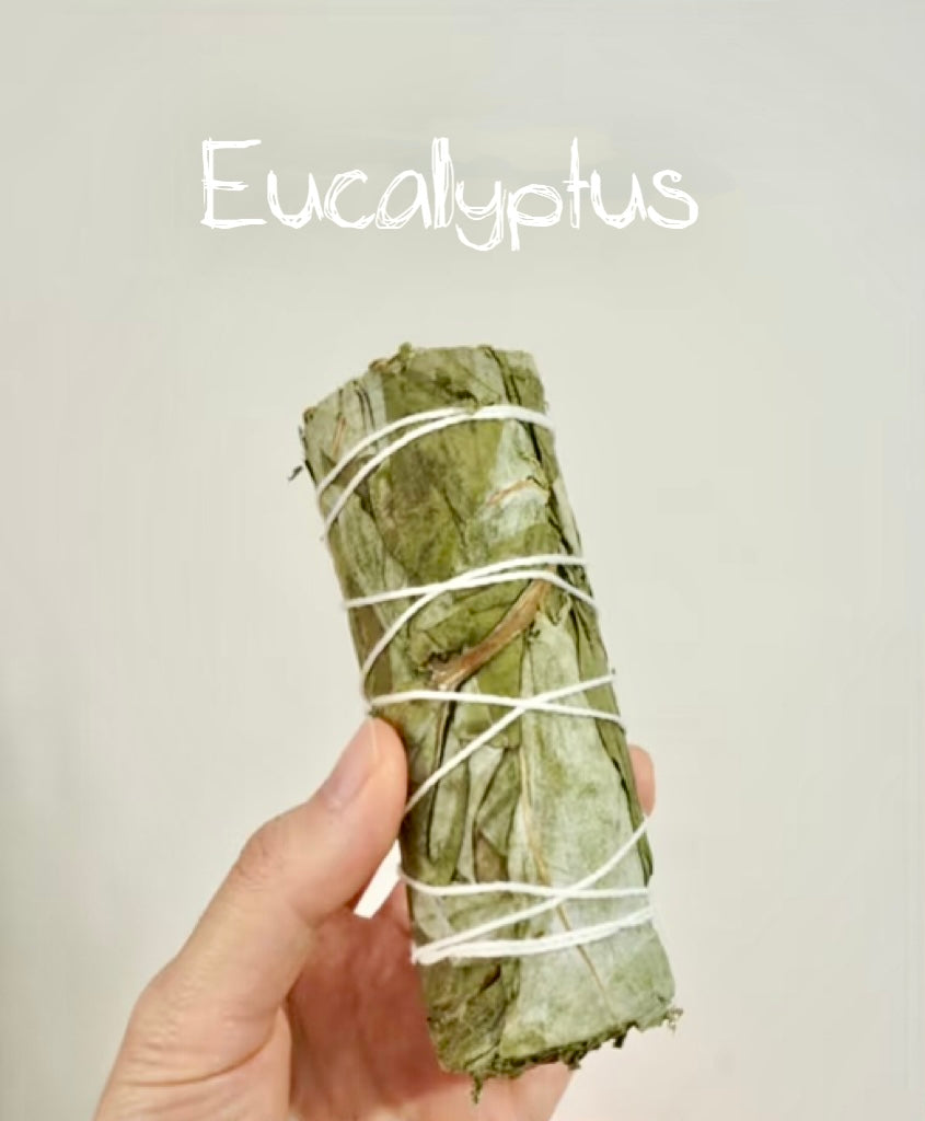 Eucalyptus – Refresh & Restore