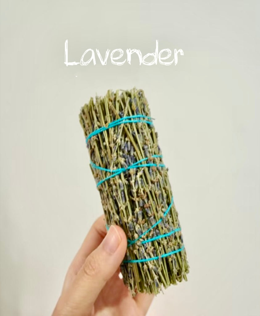 Lavender – Calm in Bloom