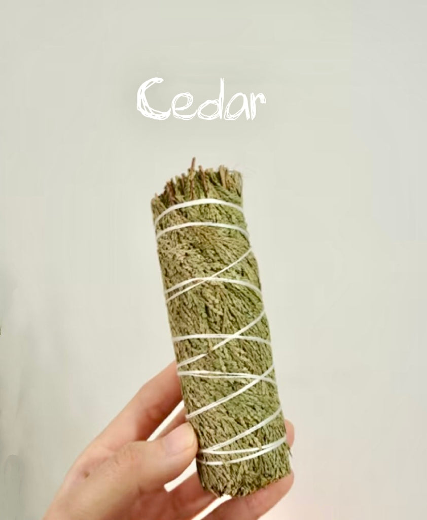 Cedar – Strength and Sanctuary