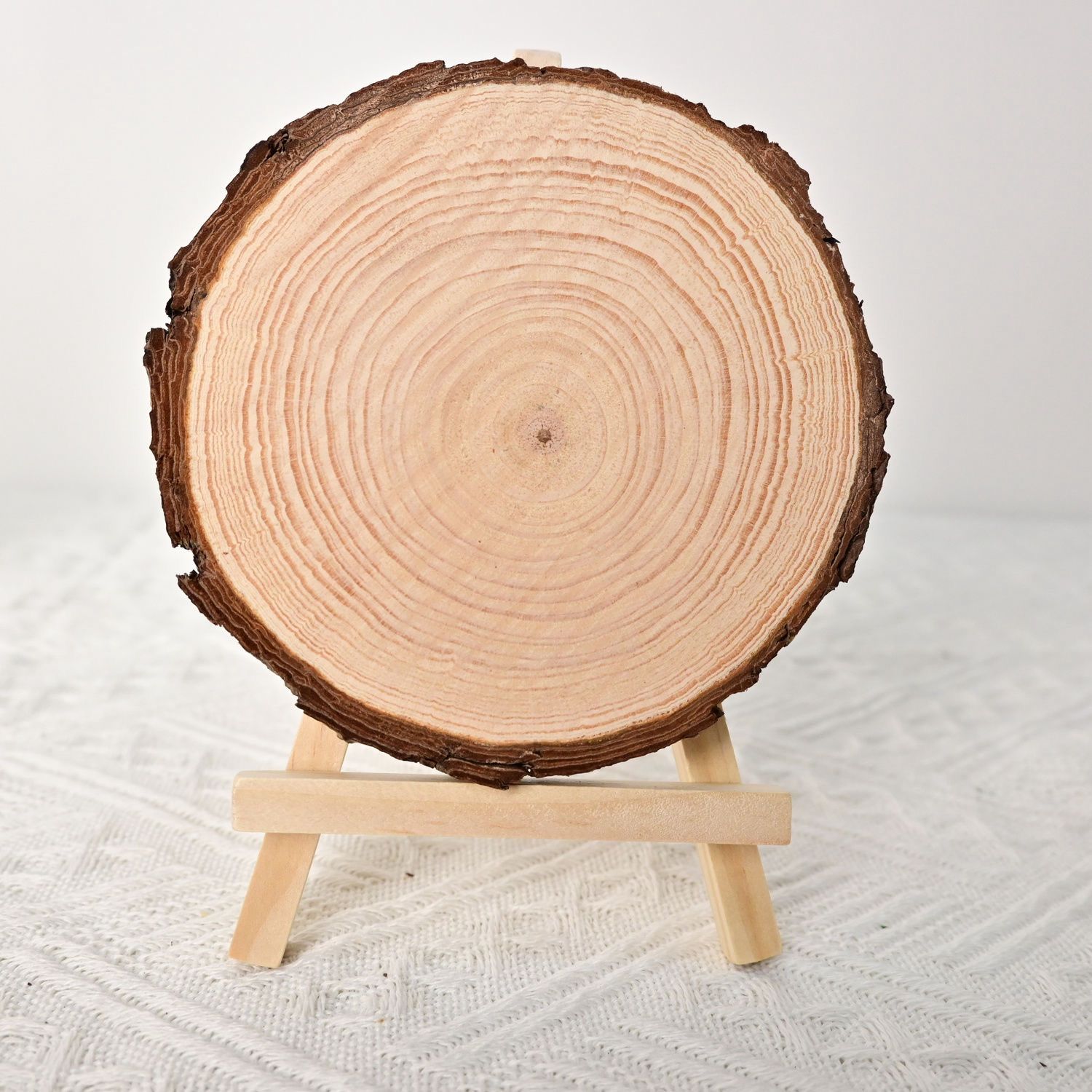 Tree Ring Wooden Base