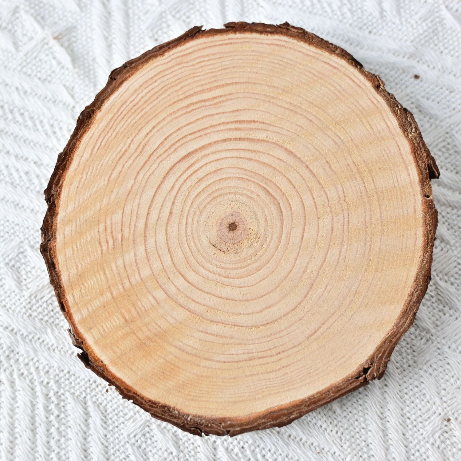 Tree Ring Wooden Base